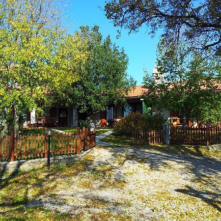 Terra Del Carso Villa San Pelagio Bagian luar foto
