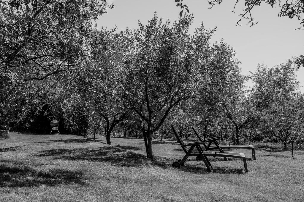 Terra Del Carso Villa San Pelagio Bagian luar foto