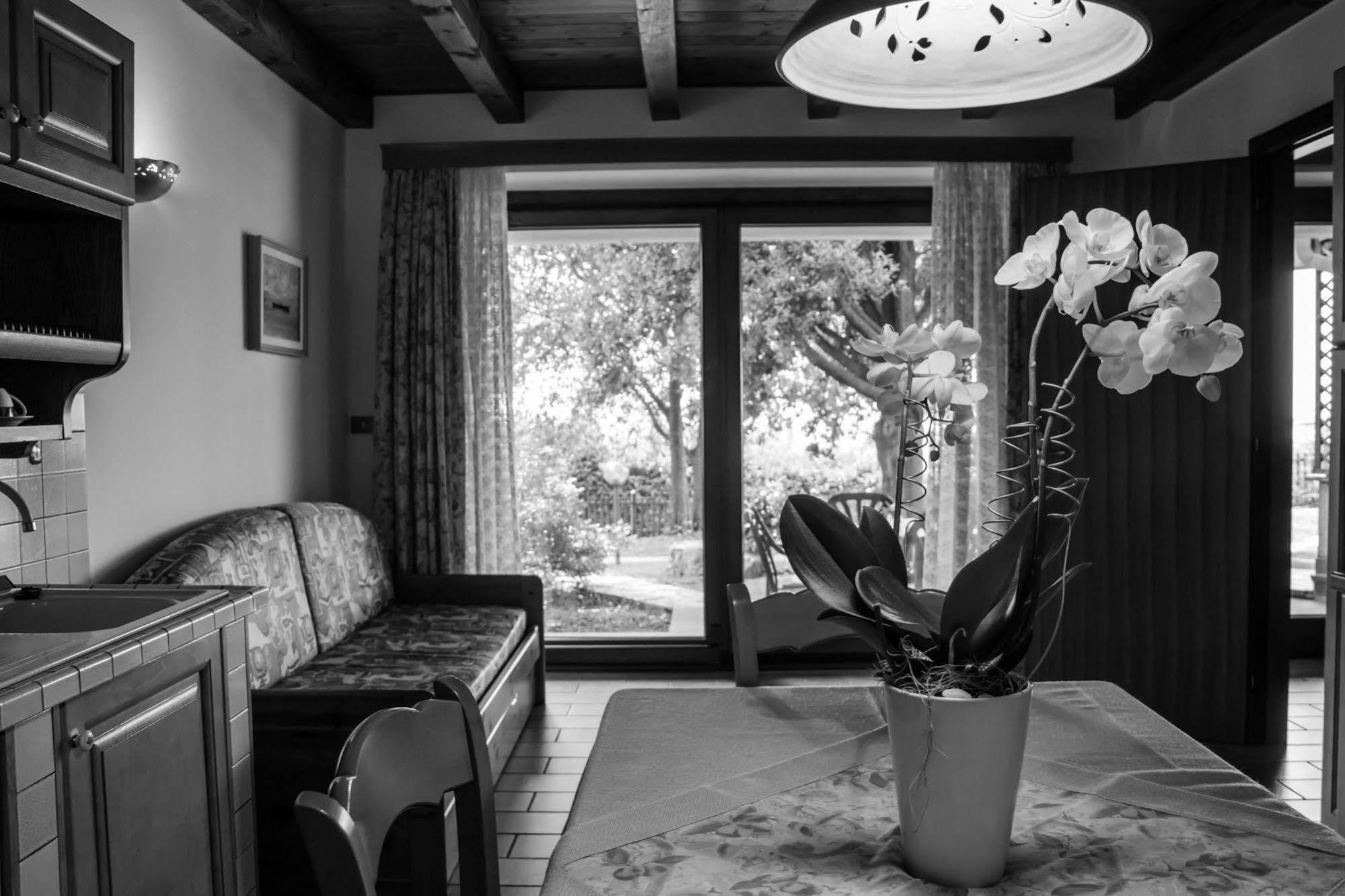Terra Del Carso Villa San Pelagio Bagian luar foto